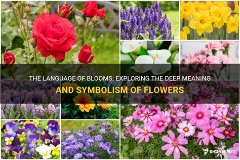 Exploring the Symbolism of Blooms in Dreamscapes