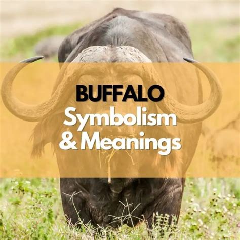 Exploring the Symbolism of Buffalo Sacrifice: A Dream Foretelling Tragedy