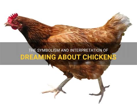 Exploring the Symbolism of Chickens in Dream Analysis