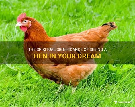 Exploring the Symbolism of Dreams Featuring Hens and Their Offspring