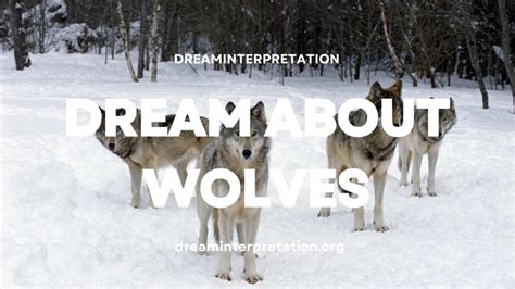 Exploring the Symbolism of Wolves in Dreams of Pursuit