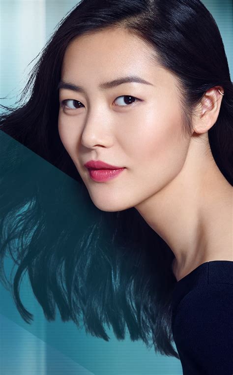 Exploring the Unknown: Liu Wen's Years and Origins