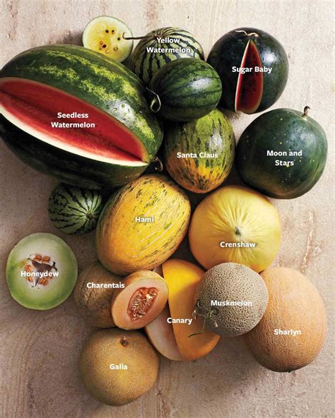 Exploring the Varied Assortment of Melons