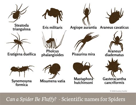 Exploring the Various Significances of Arachnid Bites