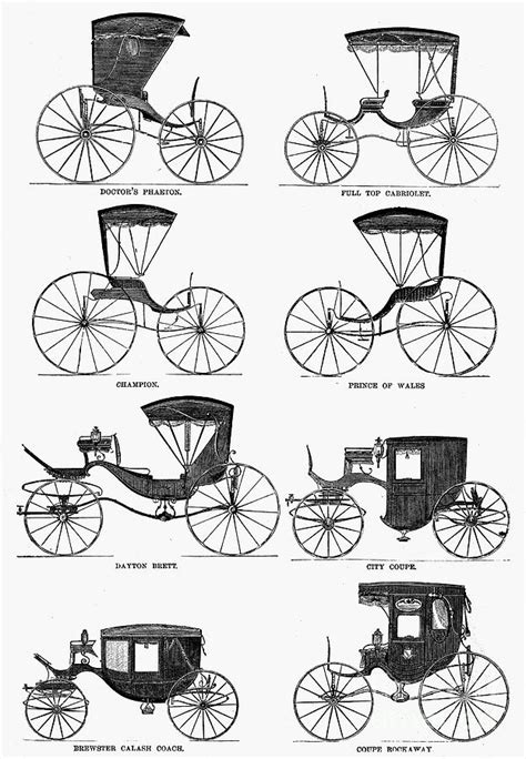 Exploring the Various Types of Carriages