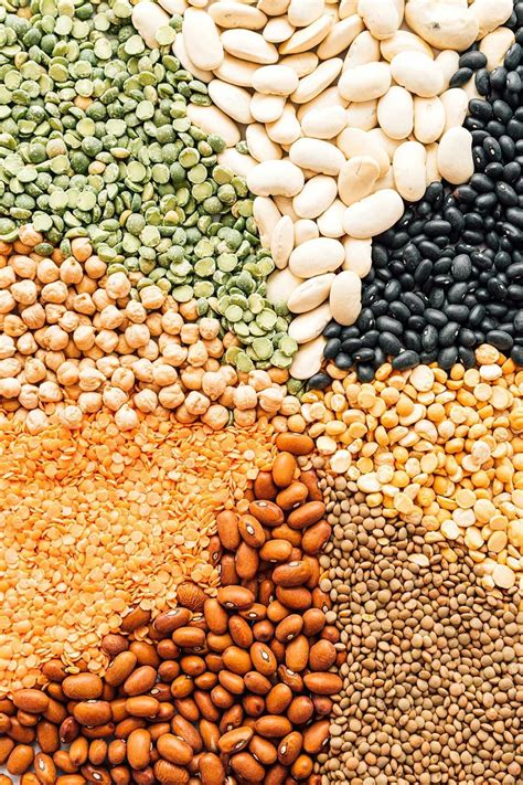 Exploring the Various Types of Legumes and Grains