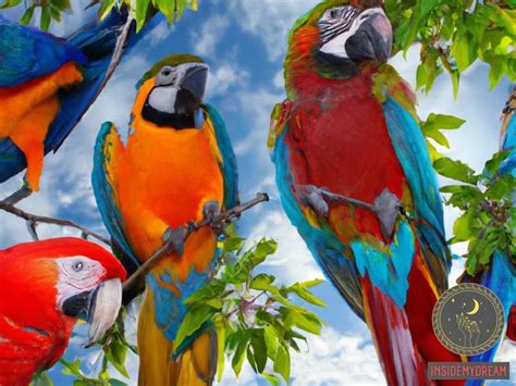 Exploring the Vibrant Plumage of Parrots in Dream Symbolism