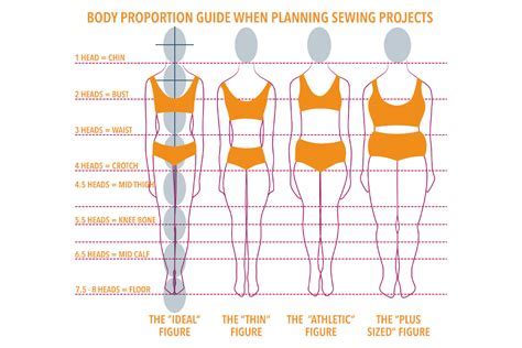 Exploring the physique of the dynamic personality