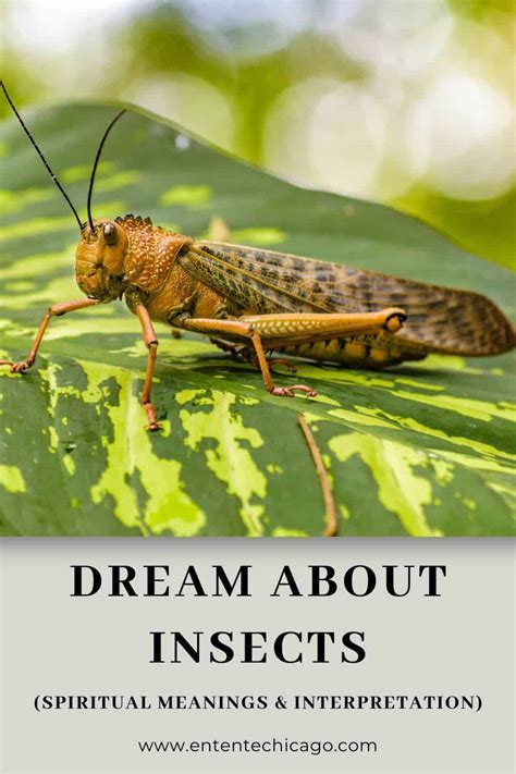 Exploring the significance and meanings of dreams related to insects