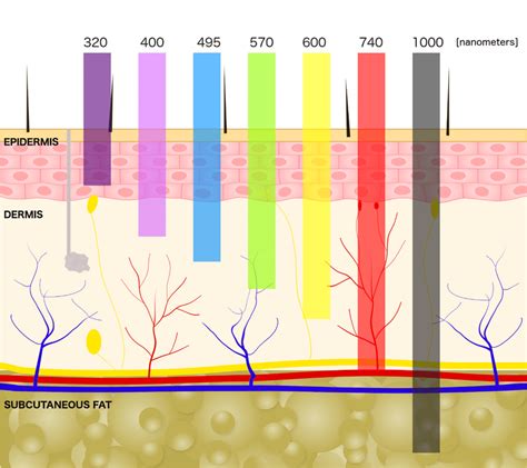 Factors Leading to the Occurrence of Nail Penetration into the Epidermis