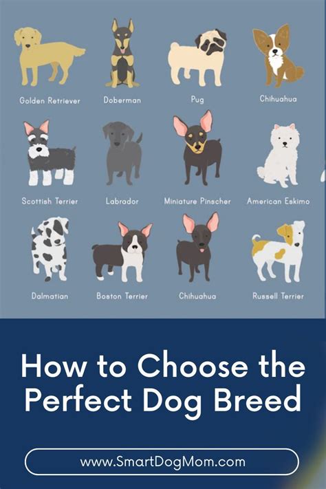 Factors to Consider When Selecting a Terrier: Size, Temperament, and Energy Level