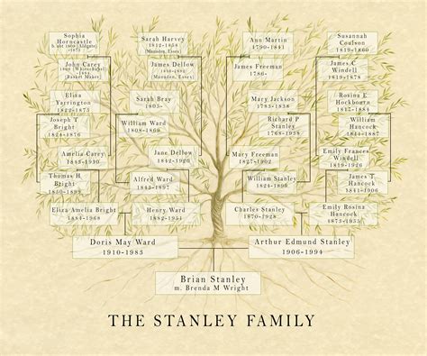 Family Roots and Ancestral Lineage