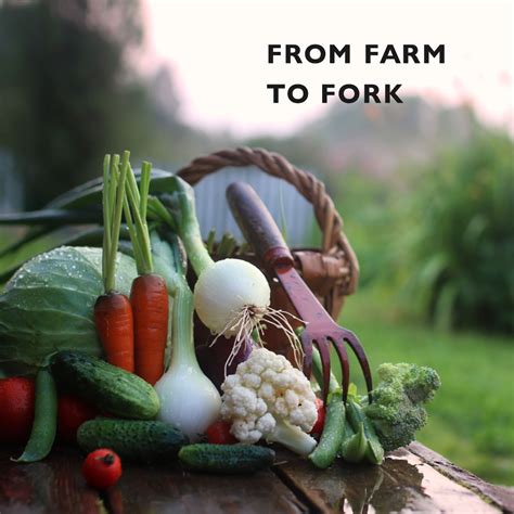 Farm to Fork: Embracing the Locavore Movement