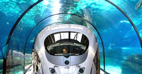 Fascinating Concept: An Undersea Railway