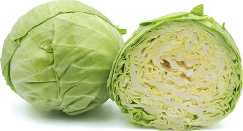 Fascinating Facts About Green Cabbage