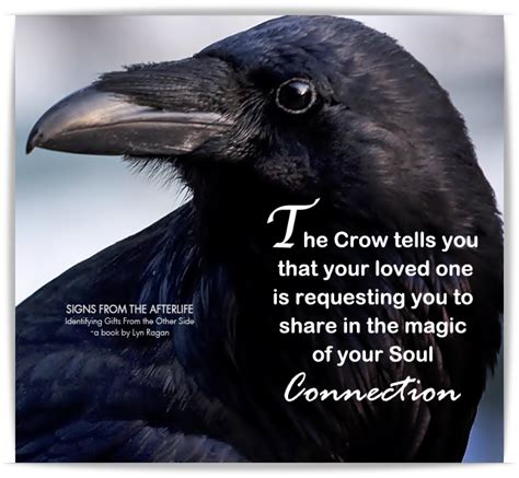 Feathered Connections: Delving into the Profound Significance of Embracing a Crow
