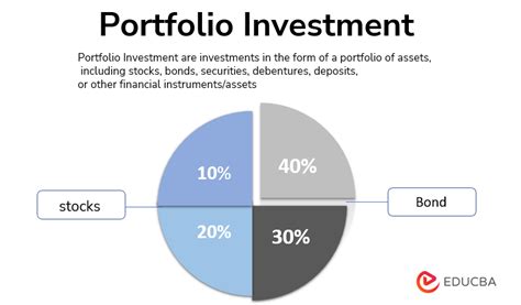 Financial Status and Investment Portfolio of the Esteemed Personality