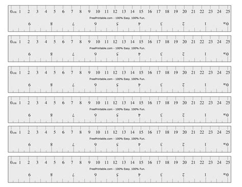 Find out the exact measurements of the actress