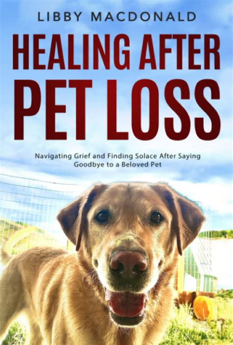 Finding Comfort and Peace: How Reflecting on the Memories of Your Beloved Pet Can Bring Solace