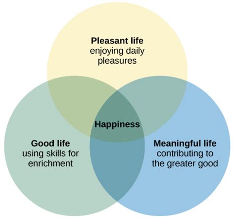 Finding Liberation: Exploring the Emotional Impact and Potential Healing from Pursuit Dreams