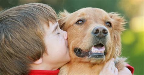 Finding Love and Companionship in an Enthusiastic Canine Enthusiast