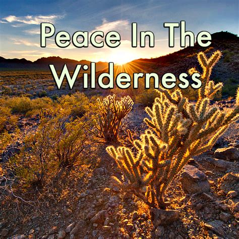 Finding Peace in the Unspoiled Wilderness