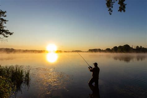 Finding the Ideal Fishing Spot