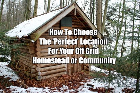 Finding the Perfect Location for Your Wood House