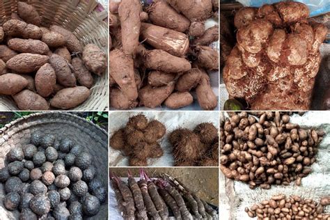 Fresh Yam Varieties: Exploring the Various Types and their Unique Flavors