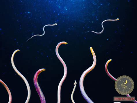 From Ancient Legends to Modern Interpretations: Earthworm Dreams in Culture