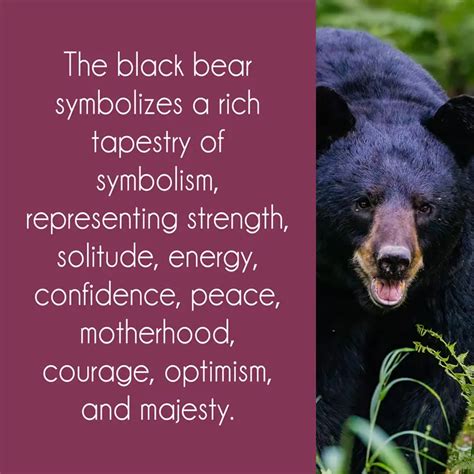 From Ancient Mythology to Personal Meaning: The Cultural Context of Bear Symbolism