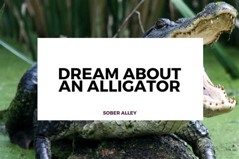 From Ancient Myths to Modern Dreams: Tracing the History of Alligator Symbolism