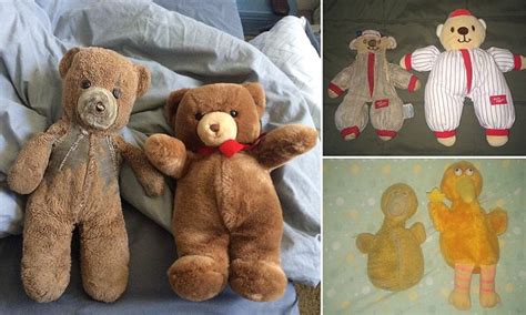 From Childhood Teddy Bears to Adult Desires: Deciphering the Allure