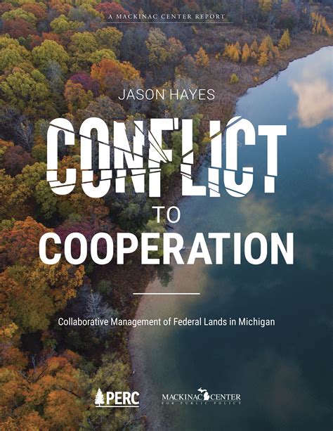 From Conflict to Cooperation: Collaborative Efforts for Lasting Peace