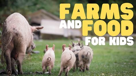 From Farm to Table: Exploring the Journey of Farm Animals and the Foods We Love