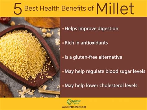 From Head to Toe: Millet's Nourishing Effects on Your Body