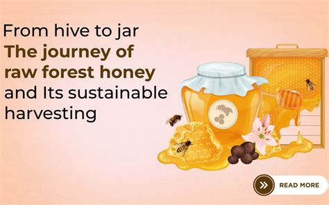 From Hive to Jar: The Journey of Honey