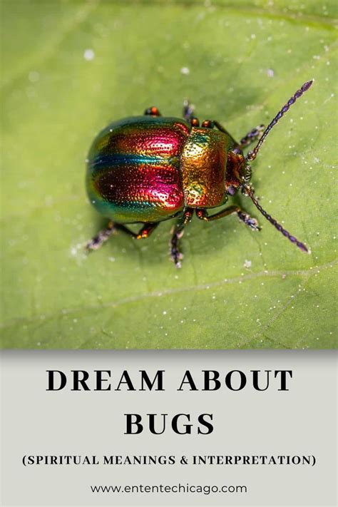 From Metamorphosis to Significance: Exploring the Importance of Bug Dreams