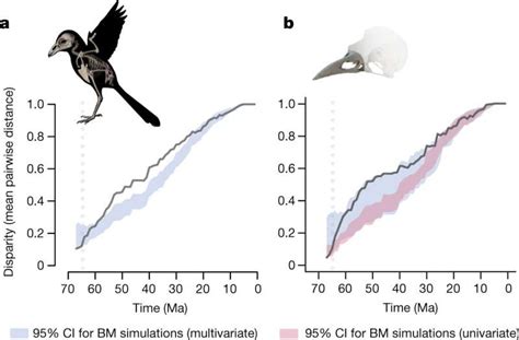 From Mortality to Rebirth: Delving into the Symbolic Importance of Avian Skeletons