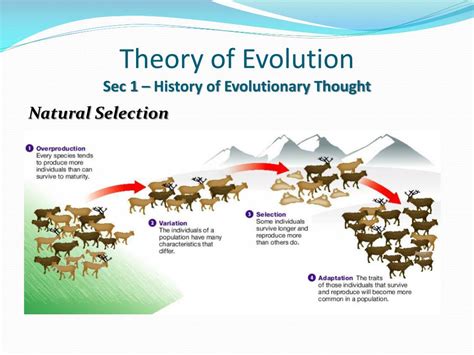 From Mythology to Modernity: The Evolution of Enormous Animal Reveries