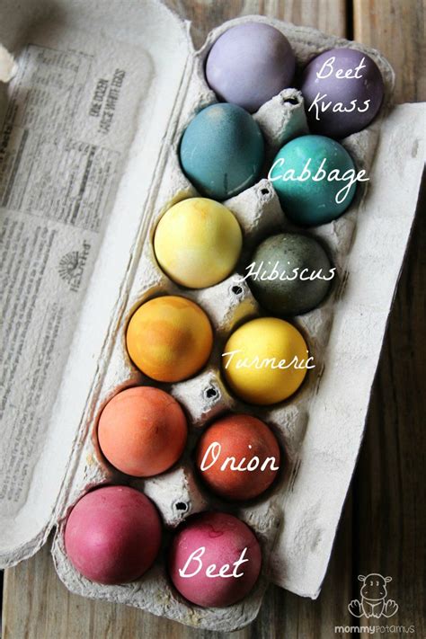 From Nature to Your Table: Natural Dyes for Egg Coloring