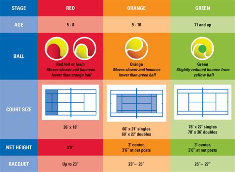 From Novice to Pro: Exploring the Different Levels of Table Tennis