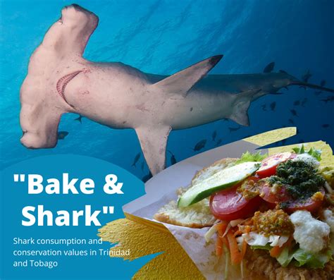 From Sea to Table: The Craft of Preparing Sharks for Consumption