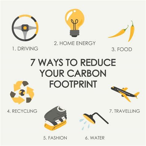 Fuel Efficiency: Save Money and Reduce Your Carbon Footprint