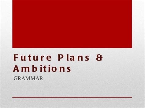 Future ambitions and upcoming undertakings