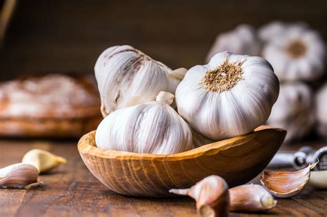 Garlic in Traditional Medicine