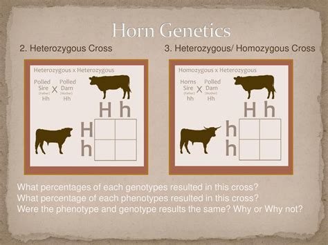 Genetic Factors: Exploring the Inheritance of Horns