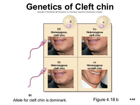 Genetics: Is the Presence of Double Chin Determined by Your DNA?