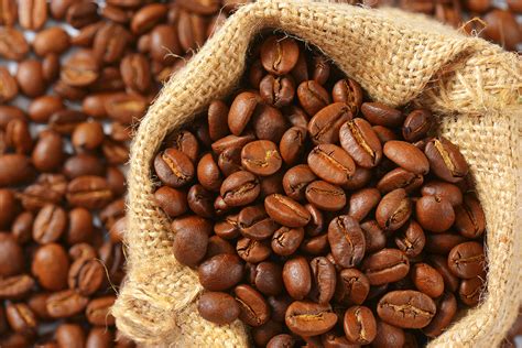 Getting Started: Coffee Beans 101