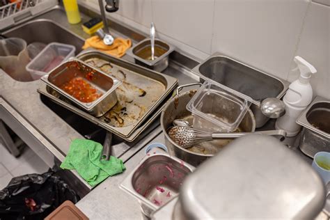 Gross Dining Experience: Questionable Food and Unsanitary Kitchen